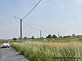 Zandlemig Vlaanderen